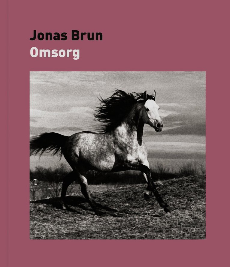 Jonas Brun - Omsorg, Häftad