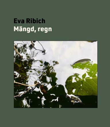 Eva Ribich - Mängd, regn, Häftad
