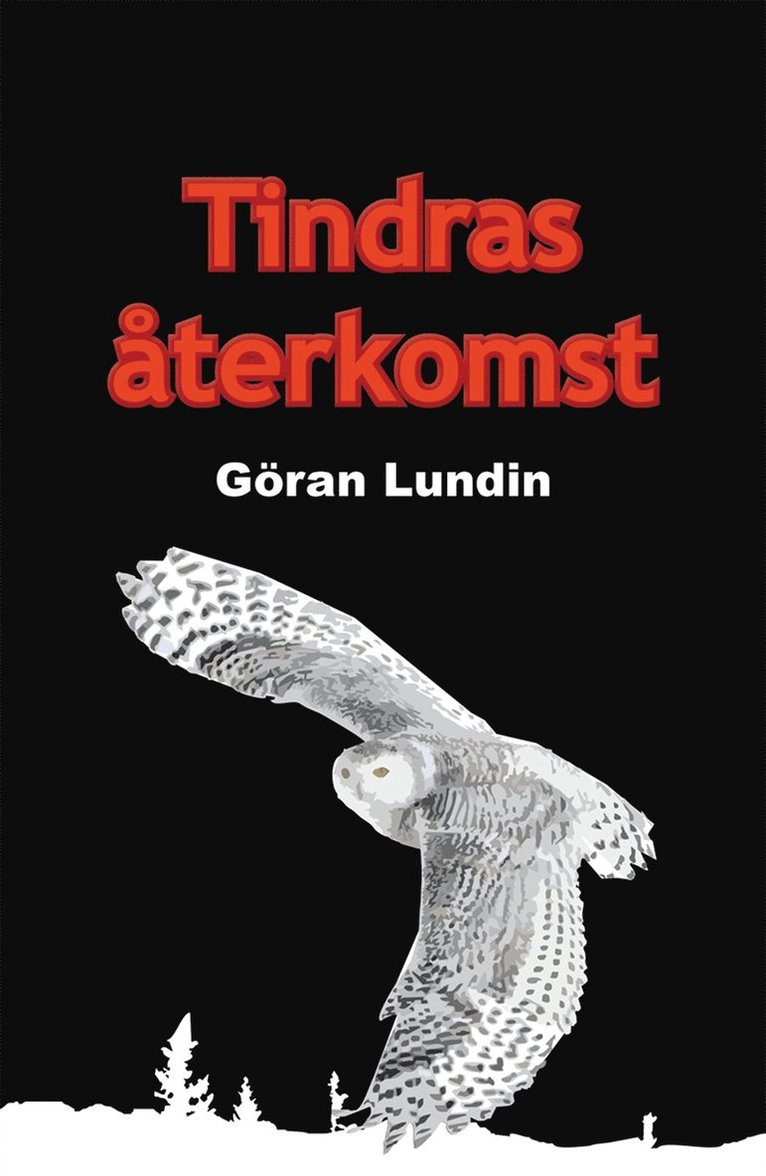 Göran Lundin - Tindras återkomst, E-bok