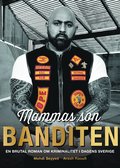 Mammas son banditen : en brutal roman om kriminalitet i dagens Sverige