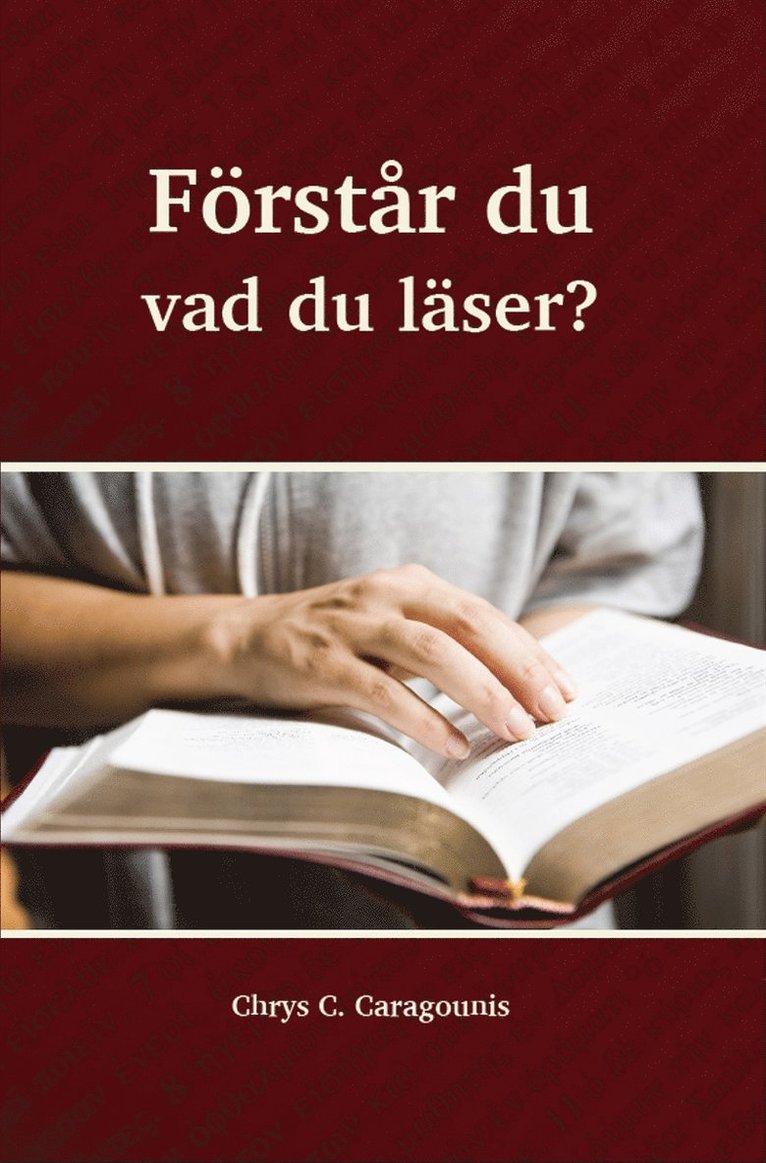 Chrys Caragounis - Förstår du vad du läser, E-bok