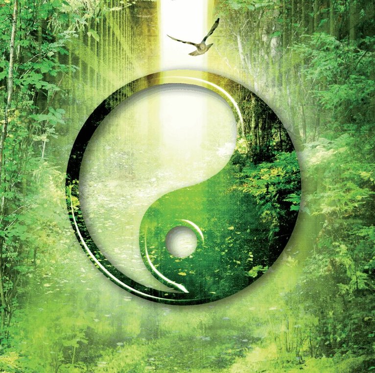 Fredrik Härén - De ickesynliga, CD-bok