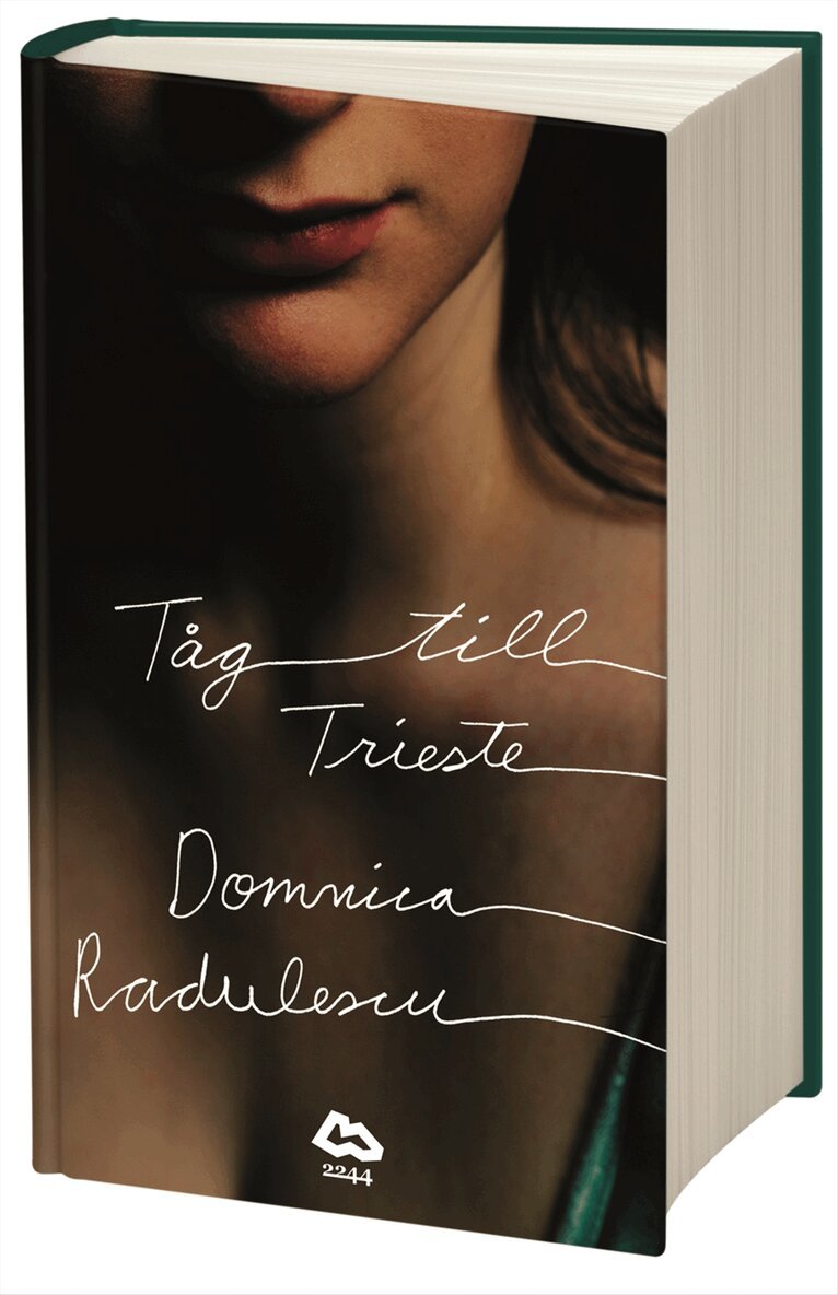 Domnica Radulescu - Tåg till Trieste, Inbunden