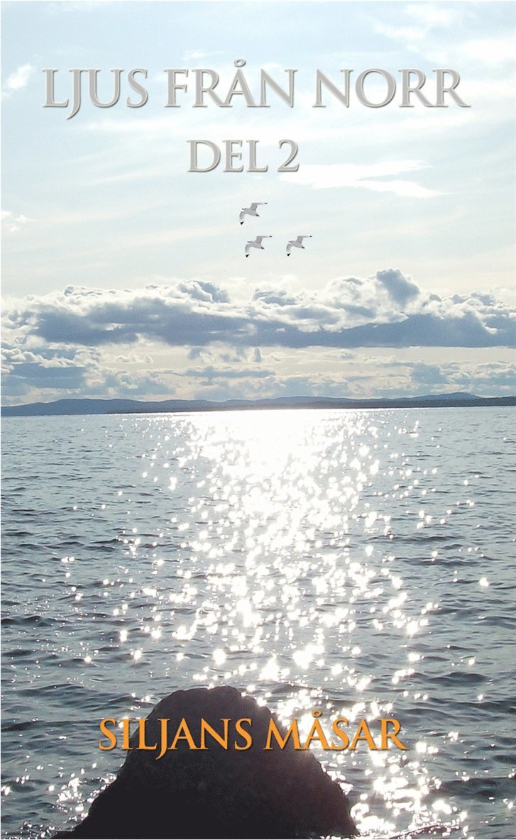 Yvonne Frank Månsson - Ljus från Norr - del 2, E-bok