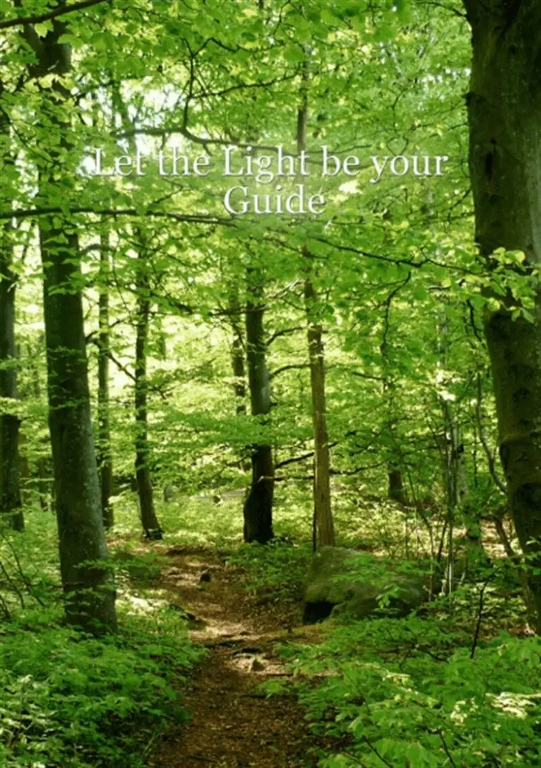 Birgitta Sjöqvist - Let the light be your guide, E-bok. Tillgänglighet: Lägg i varukorg