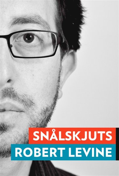 Robert Levine - Snålskjuts : Myten om affärsmodellen, E-bok