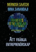 Att främja entreprenörskap