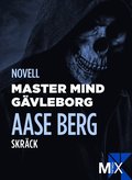 Master Mind Gvleborg