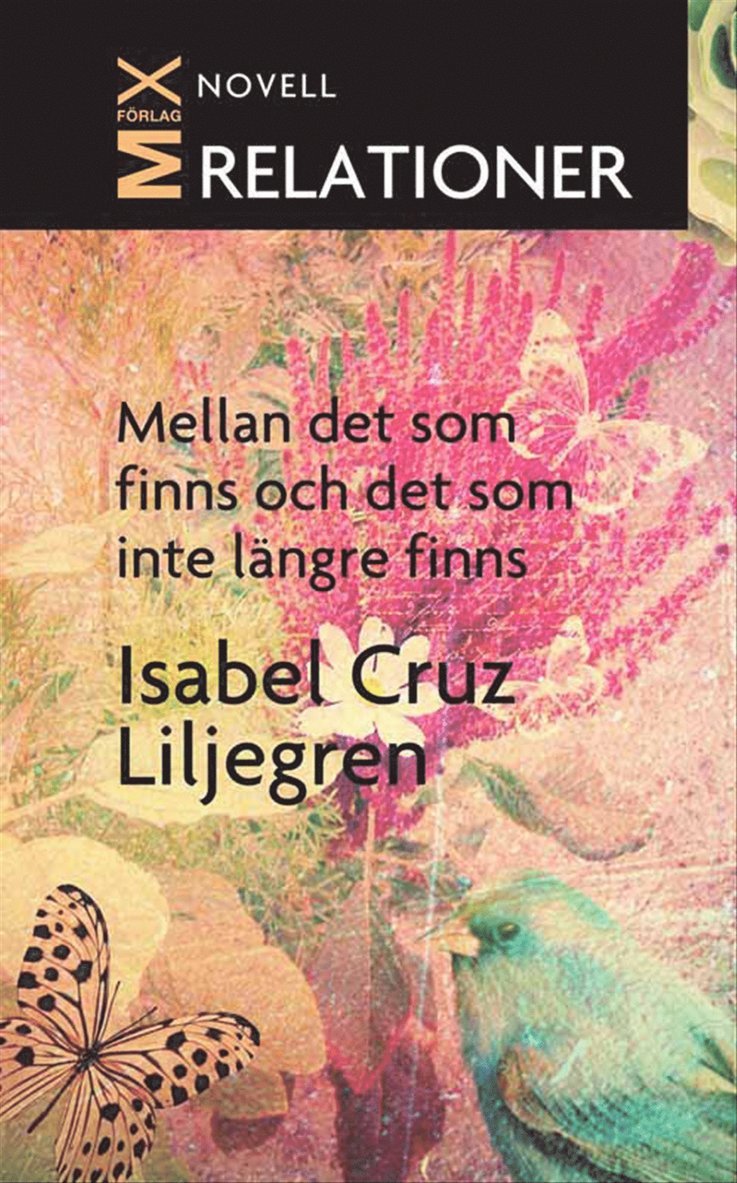 Isabel Cruz Liljegren - Mellan det som finns och det som inte längre finns, E-bok