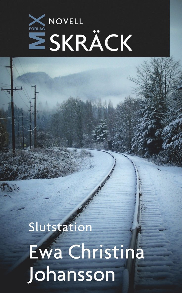 Ewa Christina Johansson - Slutstation, E-bok