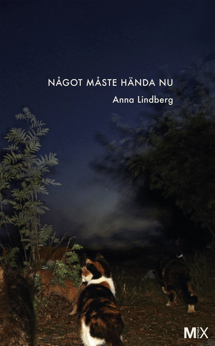 Anna Lindberg - Något måste hända nu, E-bok
