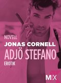 Adjö Stefano! : novell