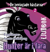 e-Bok Hunter är i fara <br />                        Ljudbok