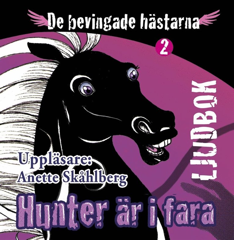 Anette Skåhlberg - Hunter är i fara, Ljudbok