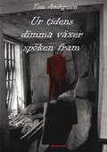 Ur tidens dimma vxer spken fram : en kriminalroman