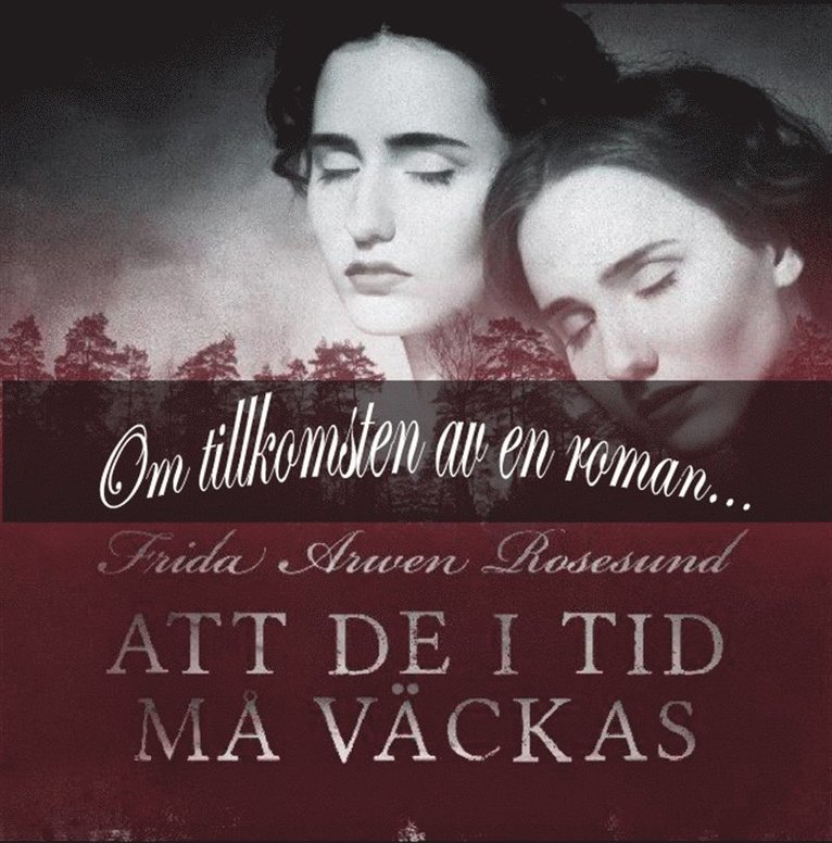 Frida Arwen Rosesund - Att de i tid må väckas - om tillkomsten av en roman, E-bok