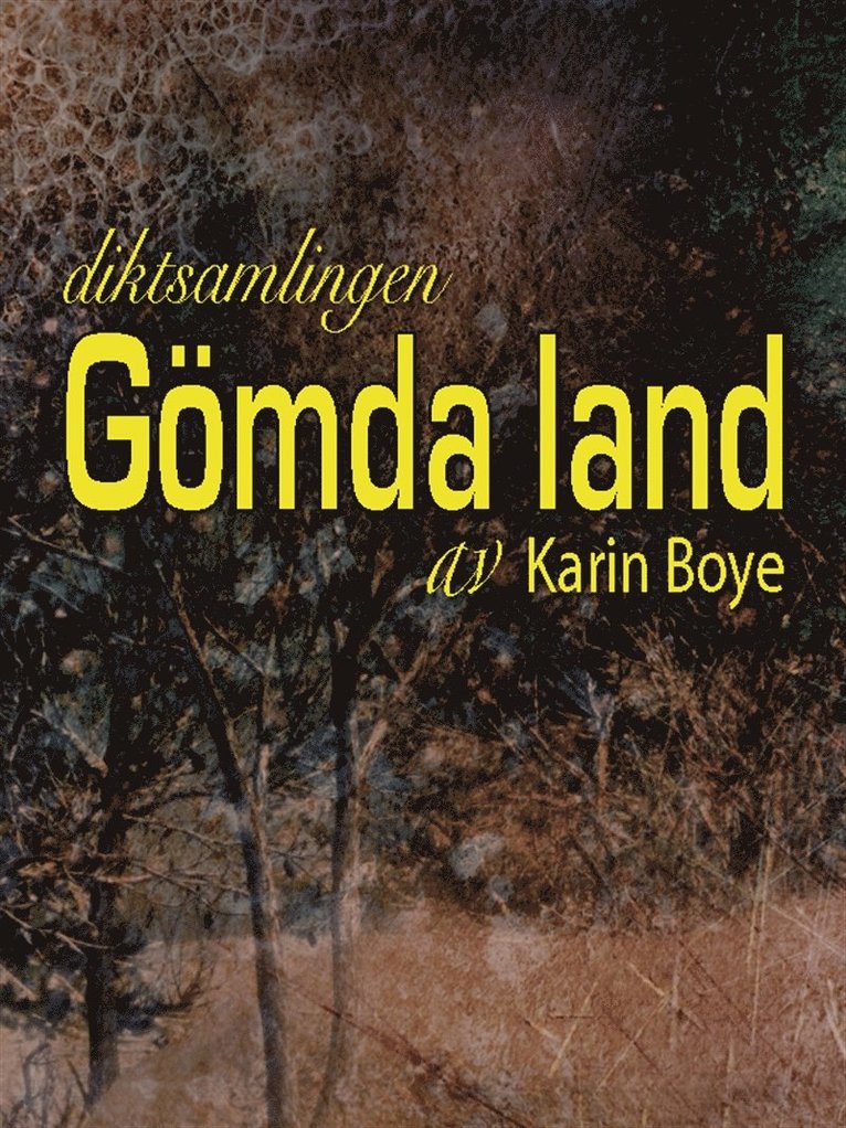 Karin Boye - Gömda land, E-bok