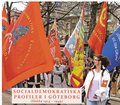 Socialdemokratiska profiler i Göteborg (födda 1914-1949) : presentationer resonerande samtal.