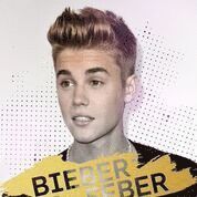 e-Bok Bieber Feber
