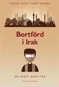 Bortfrd i Irak : en prst berttar