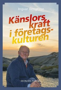 e-Bok Känslors kraft i företagskulturen