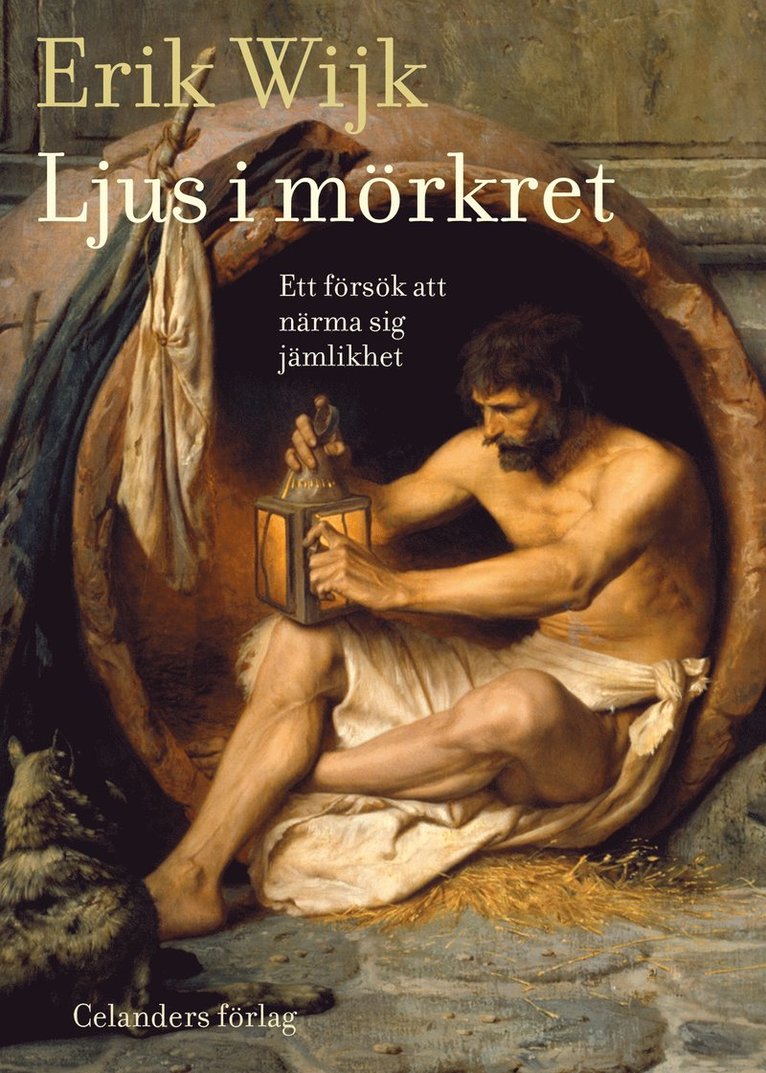 Erik Wijk - Ljus i mörkret, E-bok