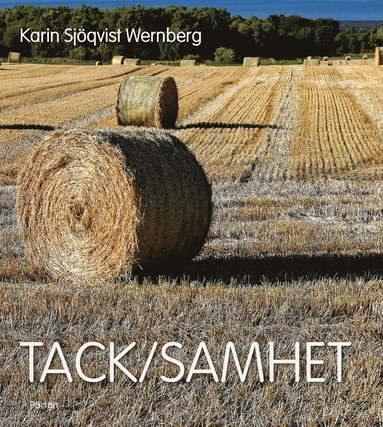 Karin Sjöqvist Wernberg Tack/samhet