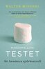 Walter Mischel - Marshmallowtestet, E-bok
