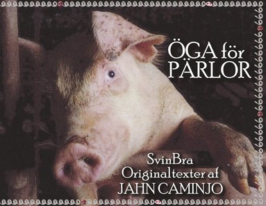 Jahn Caminjo Öga för pärlor