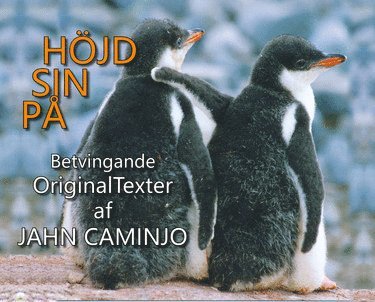 Jahn Caminjo - På sin höjd, Häftad