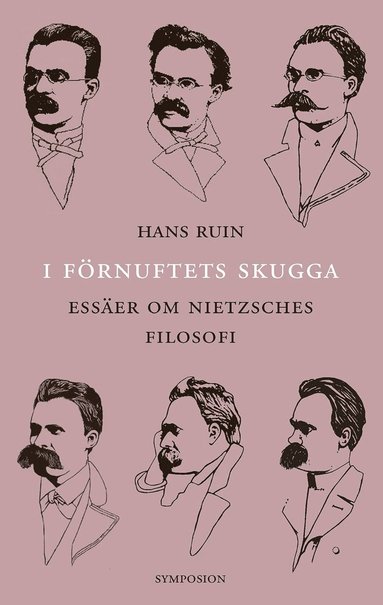 I förnuftets skugga : essäer om Nietzsches filosofi