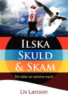 Ilska skuld & skam : tre sidor av samma mynt