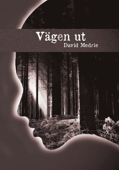 David Medrie Vägen ut