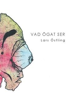 Lars Östling Vad ögat ser