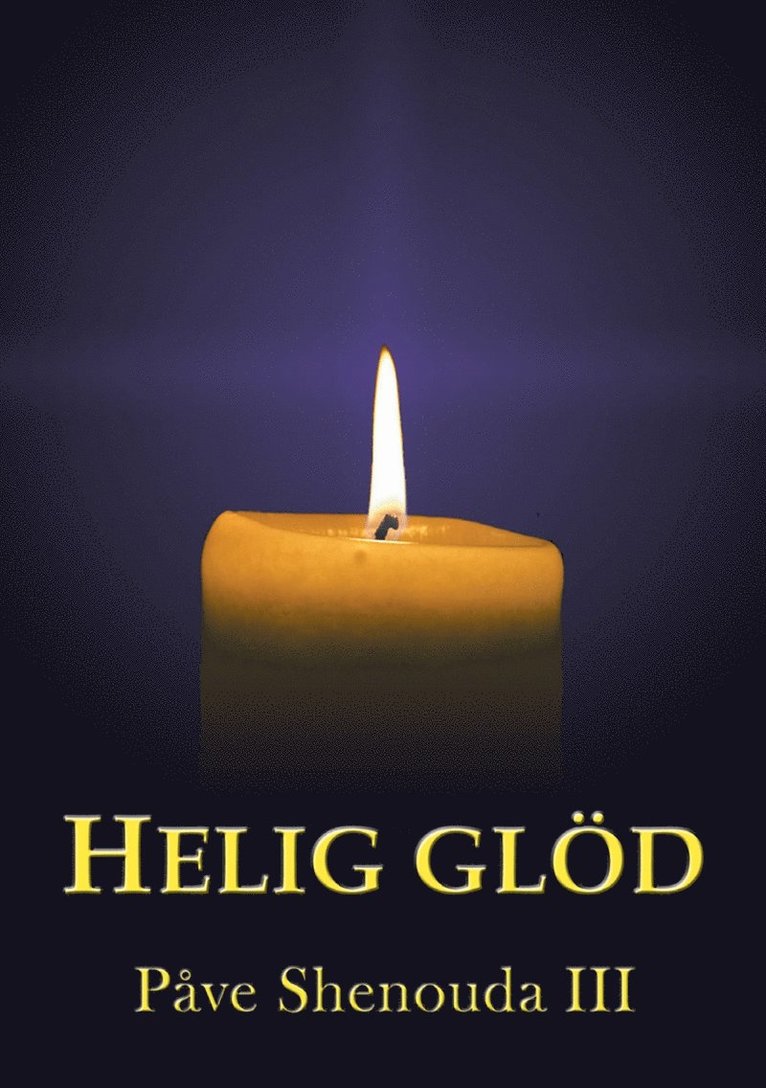 Påve Shenouda III - Helig glöd, E-bok