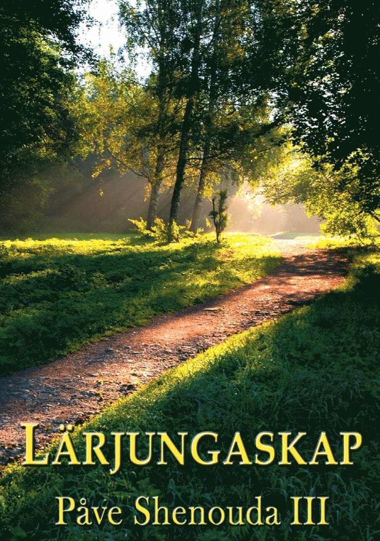 Påve Shenouda III - Lärjungaskap, E-bok