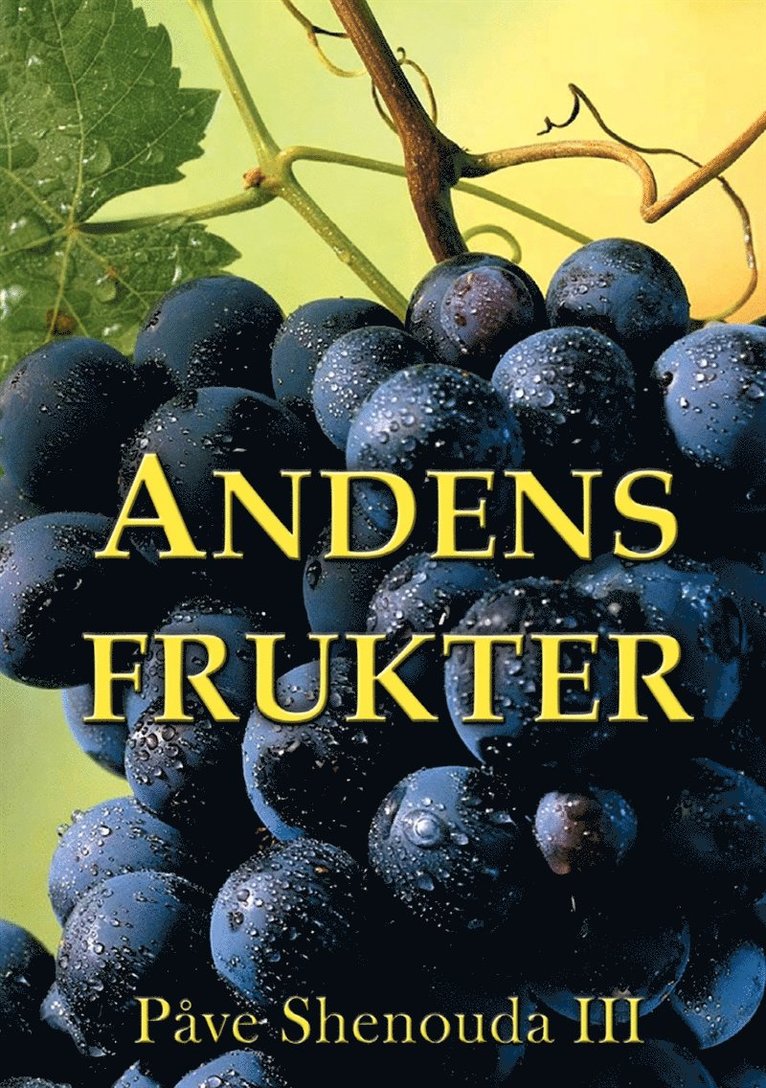 Påve Shenouda III - Andens frukter, E-bok
