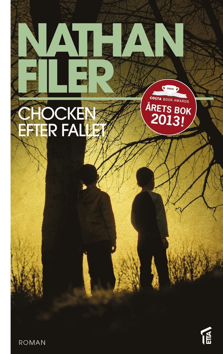 Nathan Filer - Chocken efter fallet, E-bok