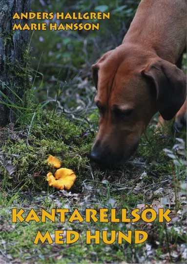 Anders Hallgren, Marie Hansson - Kantarellsök med hund, Inbunden