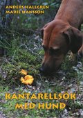 Kantarellsk med hund