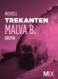Trekanten : en novell ur Begär