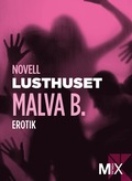 Lusthuset : en novell ur Begr