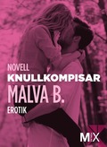 Knullkompisar : en novell ur Begr