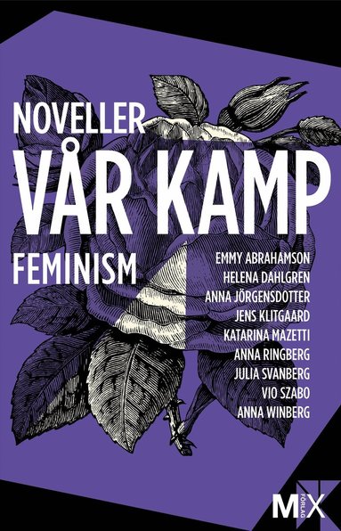 Flera författare - Vår kamp : feministiska noveller, E-bok