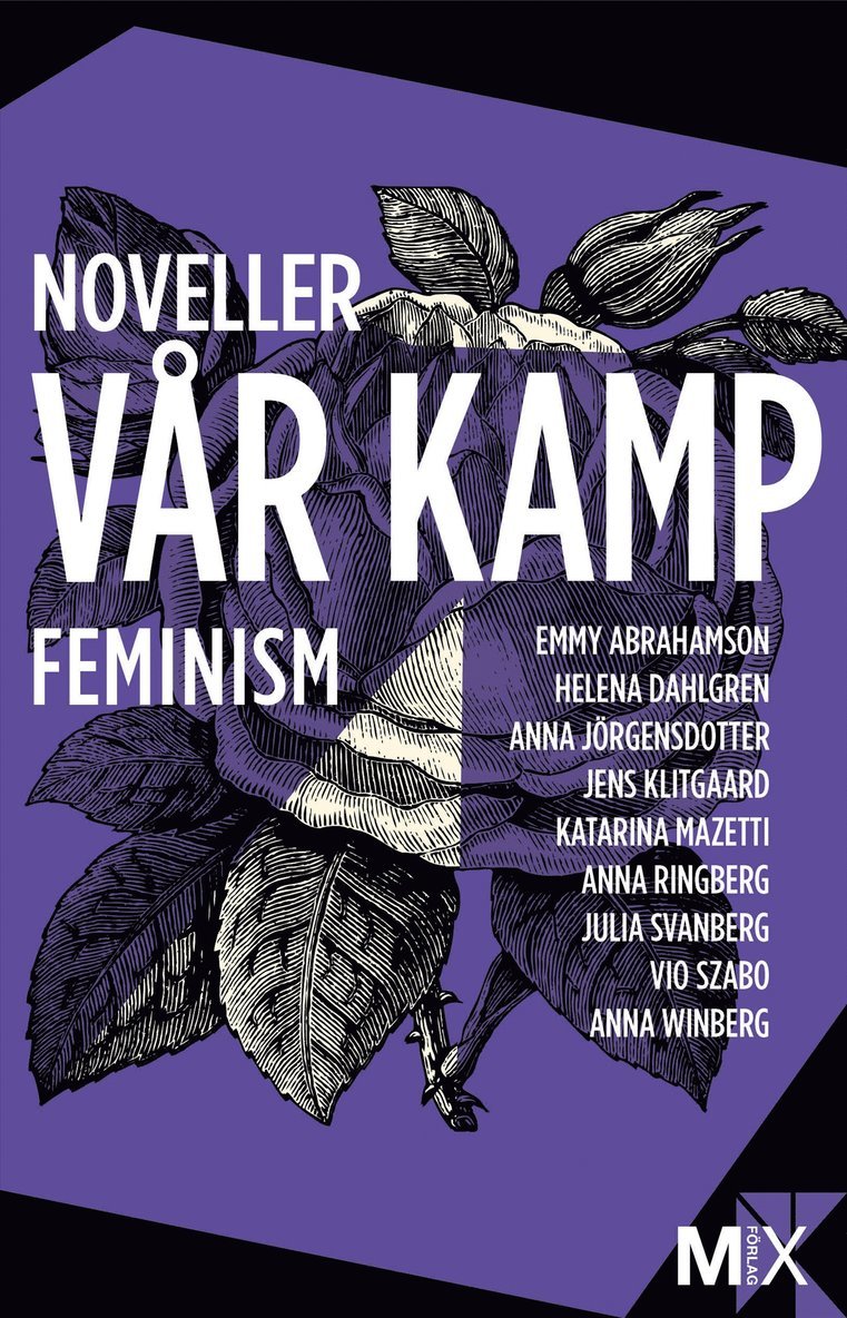 Flera författare - Vår kamp : feministiska noveller, E-bok