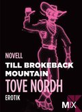 Till Brokeback Mountain: erotisk novell
