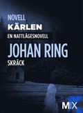 Kärlen : en nattlägesnovell