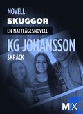 Skuggor : en nattlägesnovell