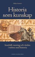 Historia som kunskap : innehll, mening och vrden i mten med historia