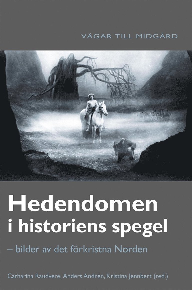 Anders Andrén, Catharina Raudvere, Kristina Jennbert - Hedendomen i historiens spegel : bilder av det förkristna Norden, E-bok